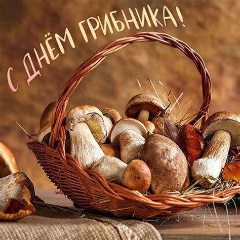 Всемирный день грибника Для любителей тихой охоты этот день настоящий праздник души Осень лучшее время для сбора грибов и 3 октября как раз отмечает это увлекательное занятие Белые подберёзовики лисички леса полны сокровищ для тех кто умеет искать Правда важно помнить золотое правило грибника не знаешь гриб не бери Лучше вернуться домой с пустой корзиной чем с сомнительным уловом А ещё этот день отличный повод отправиться на природу подышать свежим воздухом и насладиться красками осени