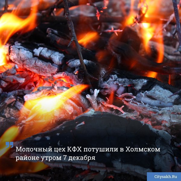 В Холмском районе чуть не сгорел коровник Пожар случился в селе Чапланово Благодаря умелым действиям спасателей ни одно животное не пострадало citysakh ru news 123985 Подписаться на Max Купим ваши новости