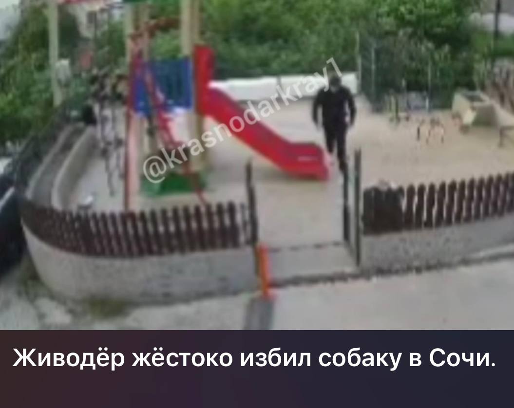 Подозреваемый в жестоком обращении с животным установлен 28 июня в пункт полиции микрорайона Макаренко поступило заявление от местных жителей о том, что неизвестный мужчина избил дворовую собаку. Инцидент произошел на детской площадке возле одного из домов по переулку Юртовскому. Участковым пункта полиции микрорайона Макаренко была проведена проверка, в ходе которой личность нарушителя установлена. Им оказался 21-летний приезжий из Кемеровской области. В отношении молодого человека составили административный протокол по ч. 1 ст. 20.1 КоАП РФ. Проверка продолжается, по ее результатам будет принято законное процессуальное решение. Полиция Сочи