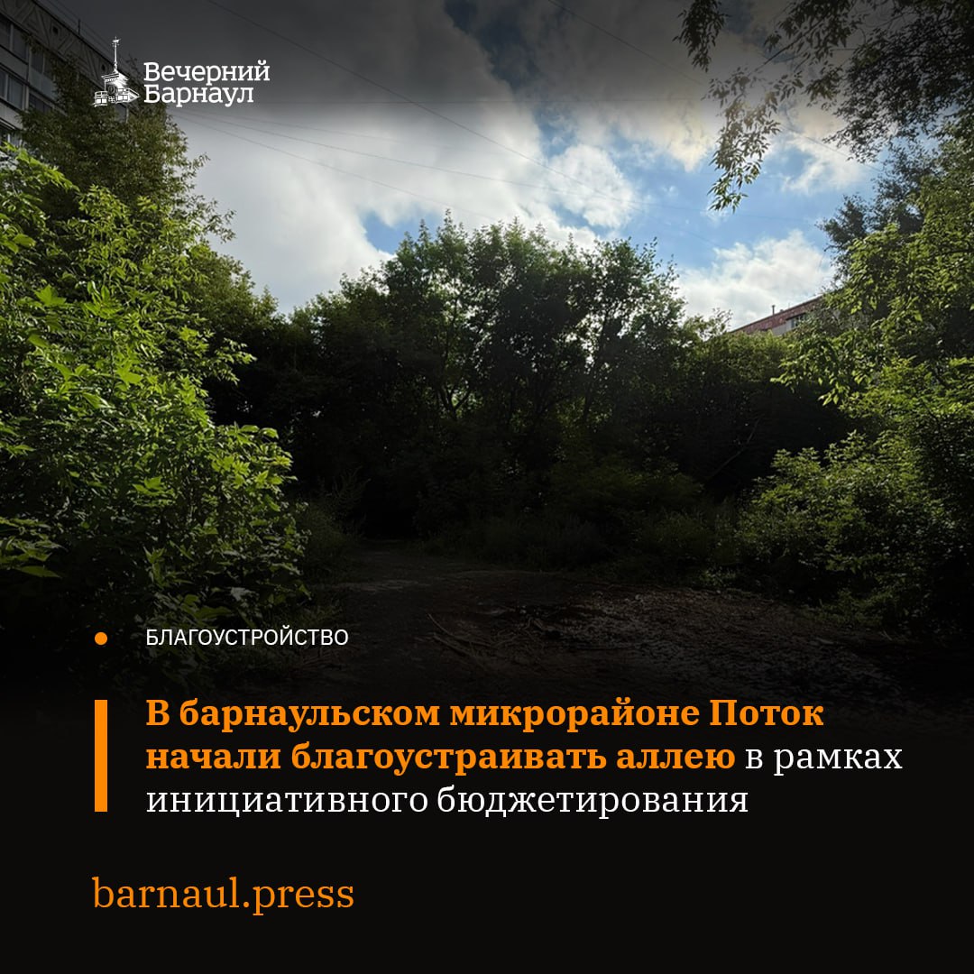 В Барнауле благоустраивают пешеходную аллею в границах улиц Чихачева, Чеглецова, 40 лет Октября, Тимуровской и Чудненко. Сейчас специалисты проводят планировку и снос аварийных деревьев. Работы ведутся по проекту «Зелёная аллея» в рамках инициативного бюджетирования. По словам местных жителей, которые стали инициаторами проекта, благоустройство аллеи необходимо для формирования современной среды, создания безопасных и благоприятных условий для людей разного возраста. Подробнее читайте по ссылке. Фото: официальный сайт Барнаула