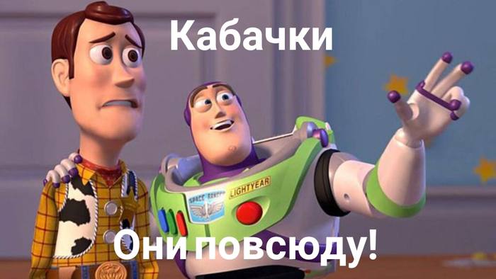 Хэллоуин обрусеет Госдуме решили облагородить Хэллоуин вместо костюмов и конфет предлагают устраивать праздник урожая Школьники должны приносить в классы тыквы арбузы кабачки и патиссоны а за самую большую овощную трофею медаль То есть теперь вместо страшных историй и сладостей дети будут меряться тыквами и обсуждать кто собрал лучший кабачок Страшно полезно а главное весело Прислать фото или видео можно через KznOtvetBot А по рекламе ReklamaTatBot