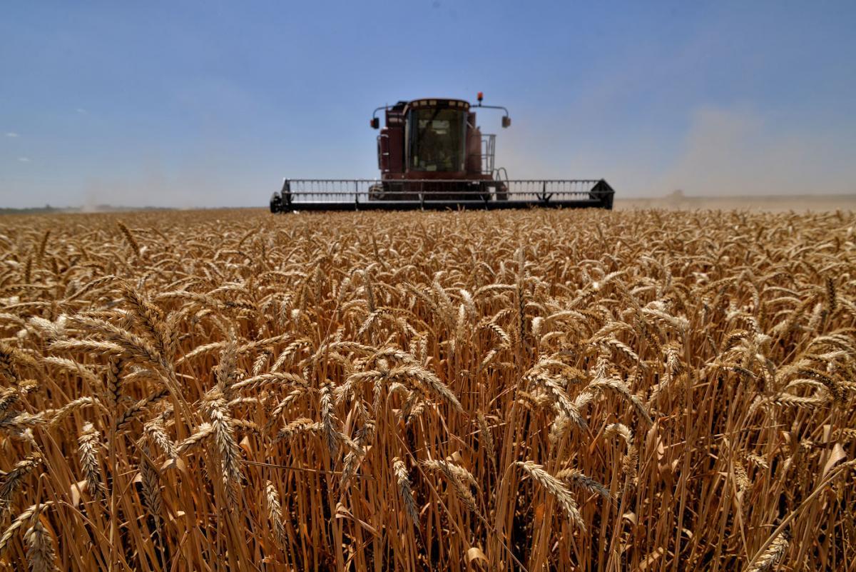 Объем производства продукции АПК в Северо Кавказском федеральном округе по итогам 2025 года вырос на 5 9 до 952 2 млрд рублей Наиболее значительно сельхозпроизводство увеличилось в Ставропольском крае на 12 и в Карачаево Черкесии на 8 6 В Кабардино Балкарии рост составил 3 7 Чечне 3 6 Дагестане 3 1 Ингушетии 2 6   Больше всего продукции произведено на Ставрополье на 340 16 млрд рублей в Дагестане на 275 25 млрд рублей и Кабардино Балкарии на 126 74 млрд рублей