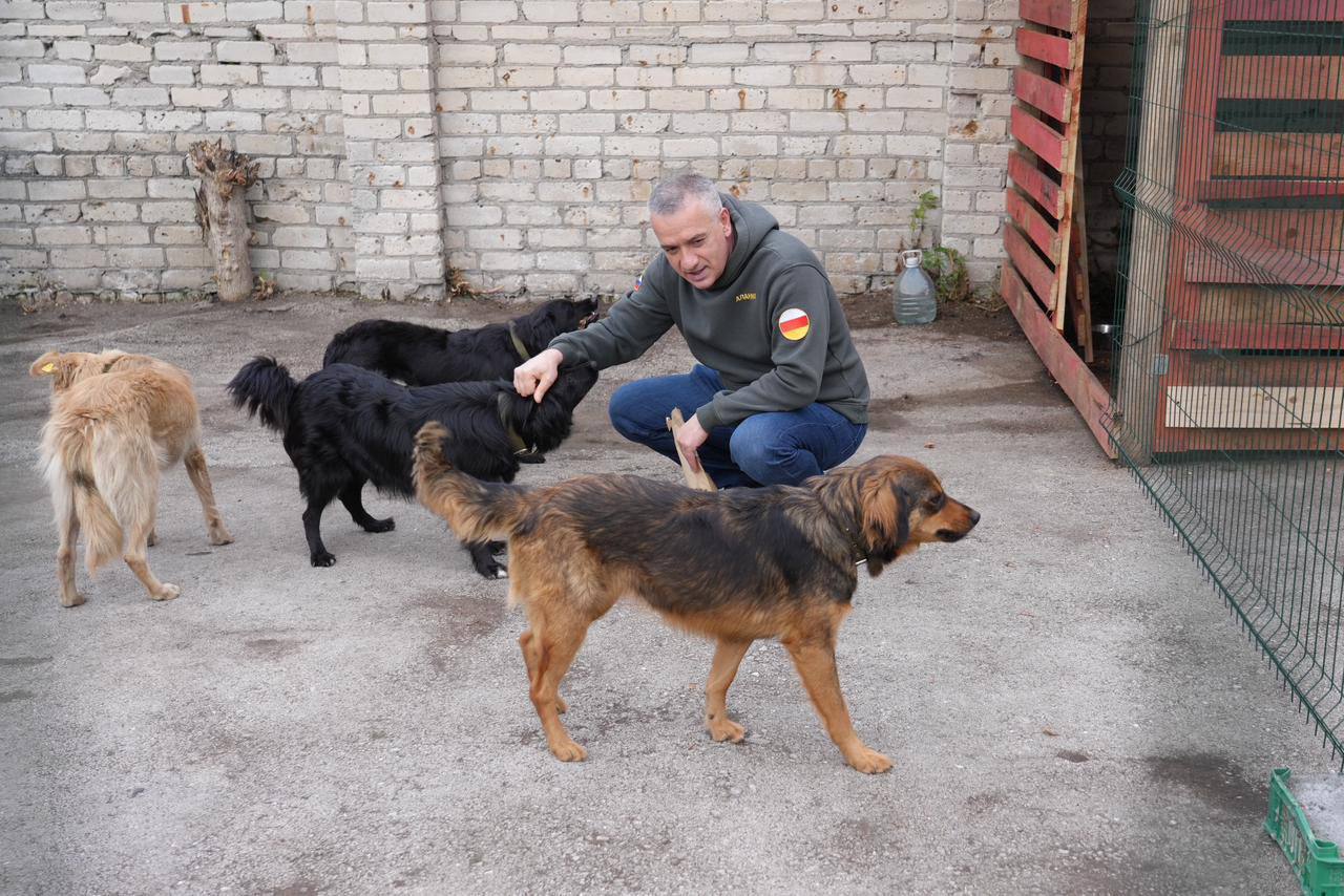 До 1 декабря текущего года бездомных собак на улицах республики быть не должно Об этом заявил руководитель администрации главы и правительства республики Ибрагима Гобеев подчеркнув что главы сельских поселений должны лично учувствовать в социальной жизни и безопасности республики