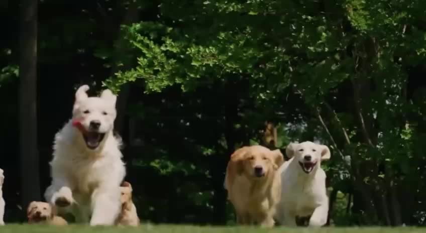 Meta представляет новый генератор 3D моделей SAM 3D для игр и анимации