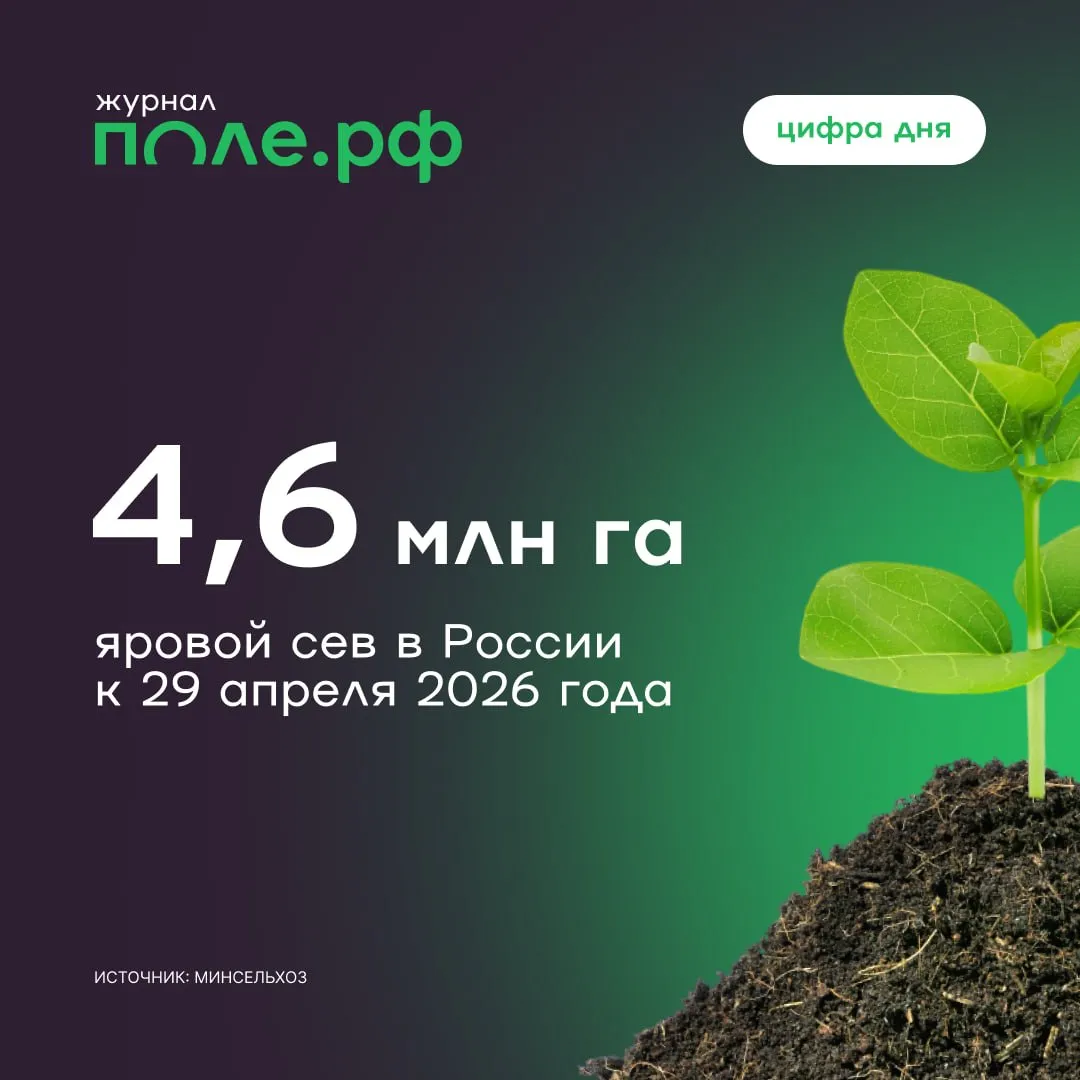 Аграрии России засеяли 4 6 млн гектаров к концу апреля сообщила министр сельского хозяйства Оксана Лут на заседании правительства Однако из за аномальной погоды темпы посевной кампании более чем в два раза отстают от прошлогодних Для сравнения на 25 апреля 2025 года было засеяно уже 10 5 млн гектаров Аномальные погодные условия которые мы все видим в центральной полосе Поволжье и отдельных южных регионах не позволяют аграриям в полной мере приступить к посевной поэтому работы пока идут с отставанием к прошлому году сказала министр Лут подчеркнула что кроме погоды серьезных ограничений для посевной сейчас нет Аграрии обеспечены семенами удобрениями техникой горюче смазочными материалами и другими ресурсами Подробнее цифрадня Пишем о ходе посевной кампании в России Подписывайтесь