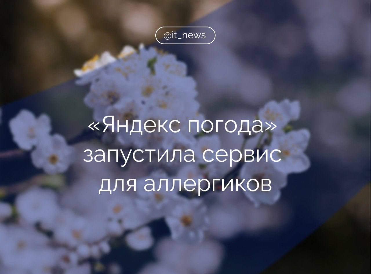 «Яндекс погода» запустила специальный сервис, который позволит получать аллергикам предупреждение о начале сезона цветения  «Яндекс погода» представила новый сервис «Активность пыльцы». Пользователи с аллергией смогут заранее получать предупреждения о начале сезона цветения в пуш-уведомлениях и принимать необходимые меры, опираясь на прогноз активности пыльцы в ближайшие 10 дней, - рассказали в пресс-службе.  На специальной карте можно посмотреть информацию о распространении аллергенов в России и странах СНГ. Сервис рассчитывает активность шести аллергенов: пыльцы березы, ольхи, амброзии, полыни, злаков и сорняков.   Сервис уже доступен всем пользователям приложения и веб-версии сервиса «Яндекс погода», а также на главной странице браузера.  Источник: ТАСС  #IT_News #Яндекс #сервисы #погода  Подписаться