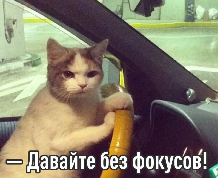 Ford Focus больше не будут выпускать после 27 лет выпуска Ford официально закрыл линейку Четвёртое поколение стало последним За всё время было продано около 12 миллионов машин В 2027 году на смену придёт гибридный кроссовер и Ford окончательно сосредоточится на SUV и электромобилях Классические седаны и хетчбэки постепенно исчезают покупатели выбирают высокие гибриды а автопроизводители следуют за спросом Focus присоединился к длинному списку моделей которые пропали за последние годы Ушла эпоха exploitex