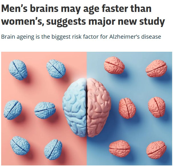 Мужской мозг стареет быстрее женского выяснили учёные из Осло Анализ МРТ более 4 7 тыс человек показал у мужчин быстрее уменьшается объём мозга и активнее деградируют зоны памяти движения и чувств В ряде областей темпы изменений почти вдвое выше чем у женщин При этом Альцгеймер чаще встречается у женщин исследователи предполагают что ключевую роль здесь играют гормоны а не скорость старения мозга Прямой эфир Наш MAX