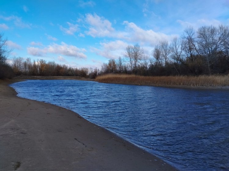 В Волго-Ахтубинской пойме завершают расчистку одного из важнейших водотоков  В Волгоградской области завершается восстановление ерика Верблюд – одного из важнейших водотоков, питающего целую сеть водных объектов в Волго-Ахтубинской пойме. Как рассказали Волжский.ру в комитете природных ресурсов, лесного хозяйства и экологии, за три года реализации проекта общая площадь восстановленной территории достигла 127,5 га. Со дна ерика и прилегающего к нему озера Садок специалисты подняли более 152 тысяч кубометров ила, песка, растительных и бытовых отходов. По берегам высадили 10 тысяч деревьев — саженцы были подобраны с учетом пойменного ландшафта.   Подробнее на Волжский.ру: