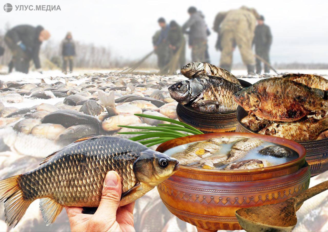 Самые популярные блюда муҥха в Якутии что приготовить из карасей Уже в конце октября когда морозы сковали озера в ледяной панцирь в Якутии начинается муҥха подледная рыбалка на карася уходящая корнями в глубь веков и прочно связанная с культурой и бытом местных жителей   Кстати самый вкусный карась подледный за лето он накапливает много жира и это помогает ему пережить зиму Якуты очень любят наваристую уху и жареные на растительном масле караси А из мелких рыбешек готовят котлеты или оладьи Подробнее о кулинарных традициях читайте по ссылке ulusmedia Читайте нас в MAX