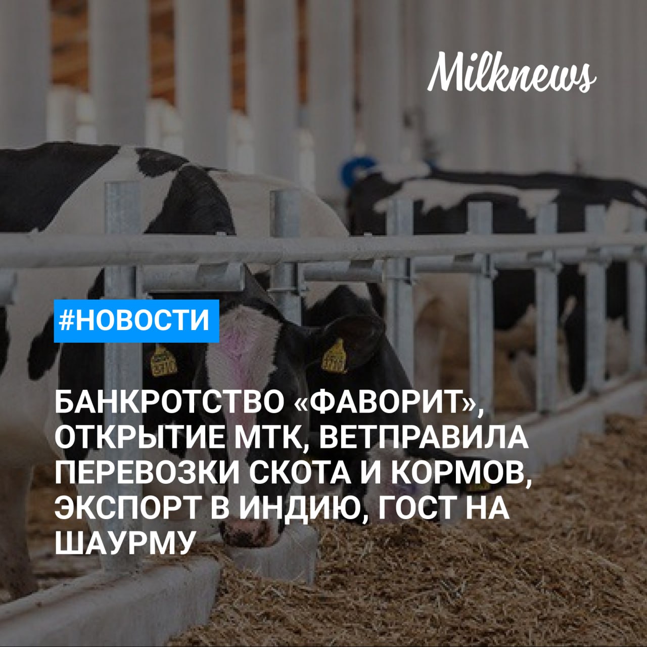 Инициировано банкротство производителя молочной продукции «Фаворит» в Новосибирске    Белорусское ООО «Стисхо Пинское» открыло молочно-товарный комплекс на 2,4 тыс. голов КРС    Минсельхоз подготовил ветправила перевозки скота и кормов    Экспорт продовольствия из России в Индию в январе - ноябре составил $2,3 млрд    ГОСТ на шаурму вступит в силу в России в 2025 году