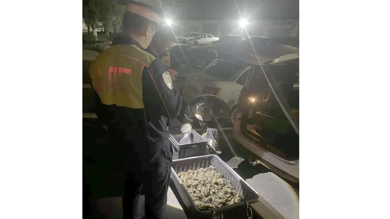 Челябинск Главное Ночные дайверы попались на браконьерстве в Челябинске Неподалеку от озера Смолино сотрудники ГИБДД остановили подозрительный автомобиль Внутри граждане в гидрокостюмах снаряжение для дайвинга и улов 758 раков 25 окуней и щука Ущерб почти 190 тысяч рублей Между тем сейчас в Челябинской области действует нерестовый запрет а само озеро особо охраняемая природная территория Автомобиль изъят нарушителям грозит крупный штраф Окончательное решение примет суд Иван Костылев