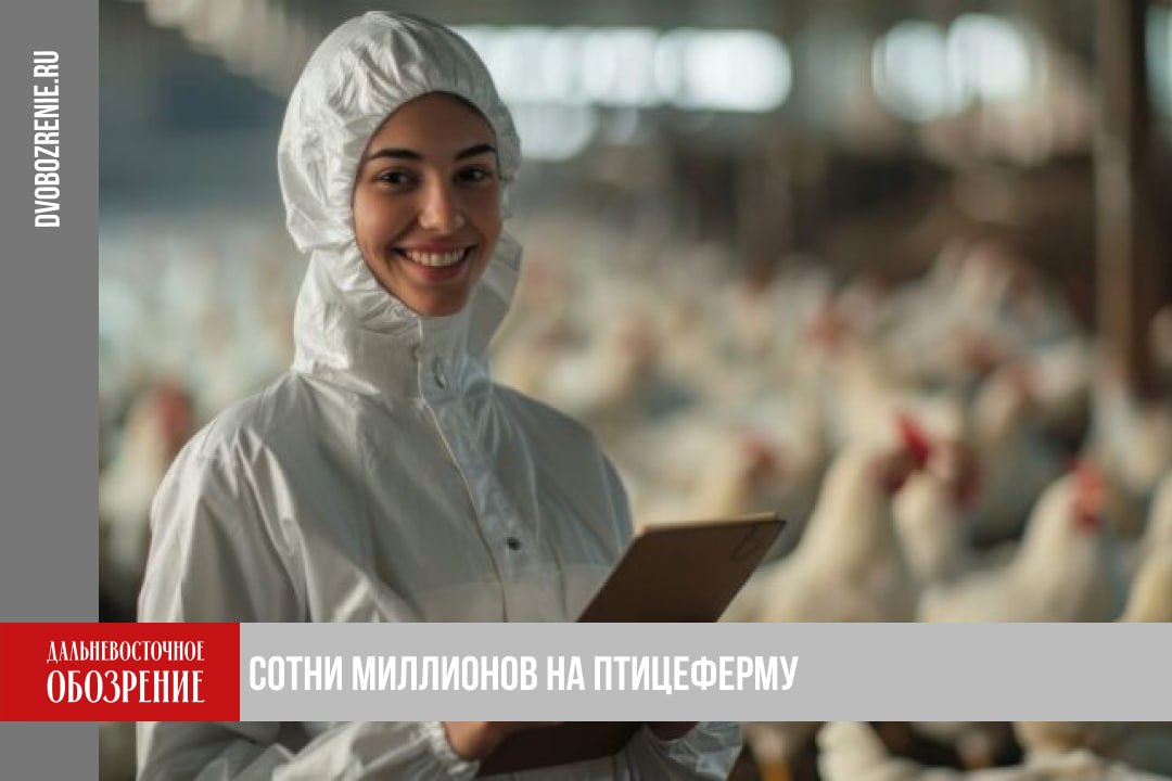 В Хабаровском крае предлагают наладить выпуск мяса птицы В правительстве Хабаровского края совместно с Агентством привлечения инвестиций и развития инноваций проанализировали инвестиционную деятельность региона На данный момент одним из перспективных направлений является выпуск мяса птицы В связи с чем предложили строительство птицефермы стоимостью 331 миллион рублей Как сообщила пресс служба правительства Хабаровского края сейчас в регионе работают два производителя куриных яиц и одна ферма по выработке перепелиных яиц Кстати одно из предприятий является единственным на Дальнем Востоке племенным репродуктором по разведению птиц яичного направления При этом собственного предприятия по выпуску мяса птицы нет а потребности рынка исчисляются 49 тысячами тонн курятины ежегодно Чтобы закрыть только собственные потребности надо увеличить объемы местного производства более чем на 46 тысяч тонн мяса в год У нас есть детальный проект строительства птицефермы по выращиванию бройлеров мощностью 300 тысяч голов Предприятие сможет ежегодно производить 600 тонн мяса птицы а также побочную продукцию рассказал руководитель центра инвестиционной аналитики Василий Хмельницкий Инвестиционным проектом уже заинтересовались некоторые муниципалитеты Например администрация района имени Лазо предложила потенциальную площадку для строительства фабрики По предварительным оценкам срок окупаемости вложений составит порядка 10 5 лет Подробности в материале ДВ Обозрение Другие новости