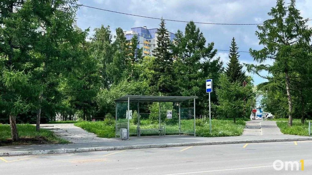 В Омске больше ста остановок сдадут в аренду частникам Город планирует передать 112 остановок общественного транспорта под размещение павильонов с рекламными модулями Больше всего локаций находится в центре Среди остановок Цирк Яковлева Улица Лизы Чайкиной Торговый город Телецентр Кинотеатр Космос Академия транспорта Декабристов Госпиталь и Драмтеатр Победители торгов должны будут за свой счёт установить павильоны с рекламными конструкциями Срок аренды составит 10 лет Предприниматели также будут обязаны поддерживать чистоту и порядок на переданных объектах Стартовая стоимость одной остановки начинается от 35 тысяч рублей Конкурс запланирован на 29 июня Om1 Омск в MАКС подписывайтесь и читайте новости без ограничений