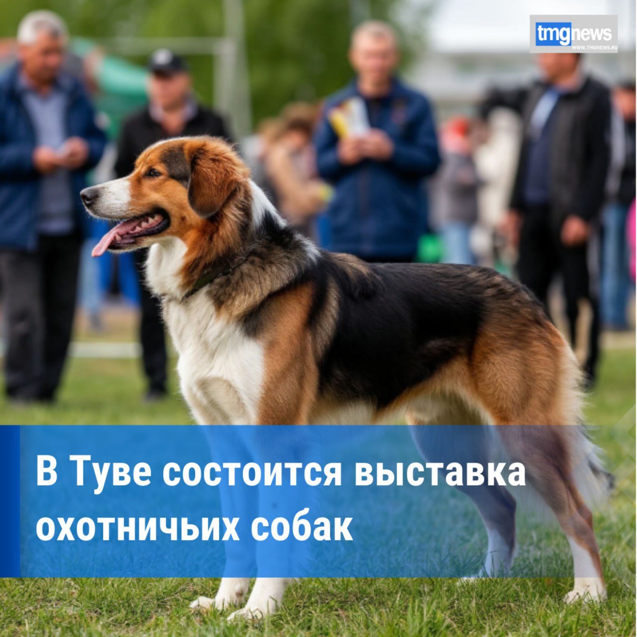 В Туве состоится юбилейная 10 я выставка охотничьих собак  В Национальном парке культуры и отдыха им Н Гастелло 20 сентября в 10 00 состоится выставка охотничьих собак посвящённая 80 летию со дня создания охотничьего хозяйства в Республике Тыва До этого дня до 15 сентября государственные охотничьи инспекторы проведут осмотр и выборку собак охотничьих пород в закрепленных районах Выставка предоставит возможность участникам и гостям не только полюбоваться разнообразием пород но и получить ценные знания Эксперты кинологи поделятся секретами племенной работы расскажут о тонкостях воспитания и подготовки собак к охоте Кроме того мероприятие станет площадкой для обмена опытом между теми кто связан с охотничьим собаководством Участники смогут пообщаться с ведущими экспертами кинологами представителями частных питомников опытными охотниками промысловиками представителями охотничьих хозяйств а также с охотоведами и егерями Подробнее здесь