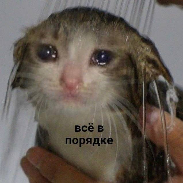 Жители Москвы оценивают своё ощущение счастья на 3 из 5 исследование Самые счастливые люди в России живут в Новосибирске их оценка 5 из 5 Следом идёт Свердловская область и Краснодар