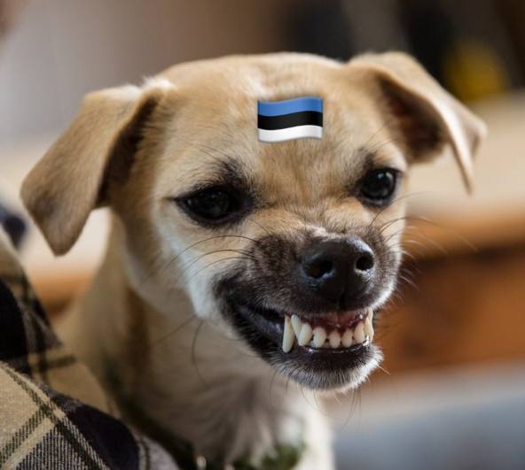 Парламент Эстонии отклонил в первом чтении законопроект который предлагала консервативная партия Отечество предусматривающий полное закрытие границы с Россией Будь с нами Хайли Лайкли