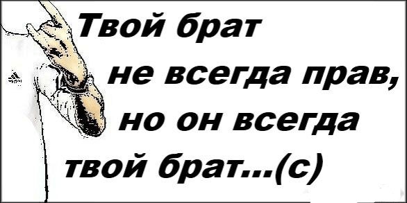 В селе Стояново Одесской области в больницу был доставлен 22-летний парень с осколочными ранениями лица и оторванными тремя пальцами на левой руке  Как позже выяснилось, ранения он получил в результате взрыва гранаты, которую ему привёз брат с фронта и сказал, что она учебная.  Когда твой брат не всегда прав, но он всегда твой брат, но есть нюанс.  #ежедневная_граната