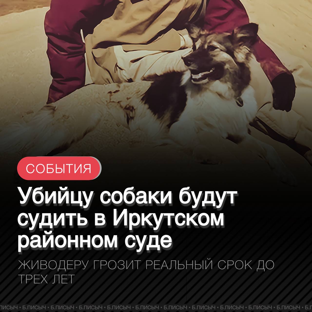 В Иркутском районе прокуратура передала в суд уголовное дело о жестоком обращении с собакой, которое привело к ее смерти. По версии следствия, 18 апреля 2024 года 49-летний мужчина, находясь на своем участке в поселке Первомайский, заметил собаку в своем огороде. Затем взял охотничий карабин и выстрелил в животное не менее трех раз. Собака по кличке «Йоко-Йося», популярная в соцсетях благодаря ее хозяйке, погибла на месте. Обвиняемый свою вину не признал. Потерпевшая сторона подала иск о возмещении материального и морального вреда. За данное преступление предусмотрено наказание в виде штрафа, обязательных или исправительных работ, ограничения свободы, ареста либо лишения свободы до трех лет. В целом эта мразь в человеческом обличии заслуживает самого сурового наказания в виде реального лишения свободы. #убийцасобак подписка написать