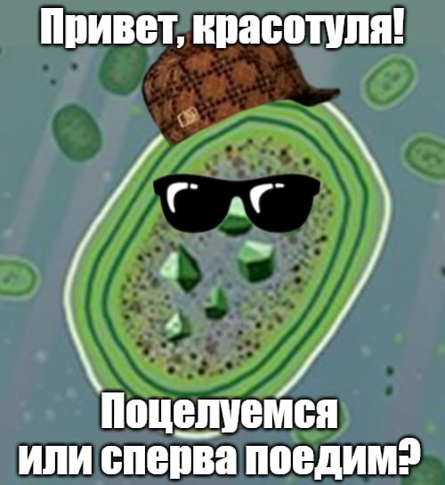 Россиянке запретили целоваться из за болей в желудке Женщина обратилась к врачу с жалобами на боль После обследований выяснилось что причиной проблем с желудком стала бактерия хеликобактер пилори которая провоцирует воспаления и может привести к язве гастриту и даже раку пишет SHOT По словам медиков заразиться бактерией очень легко В том числе и через поцелуи общие приборы для еды и полотенца Подпишитесь на Абзац Добавьте Абзац в ленту Дзена