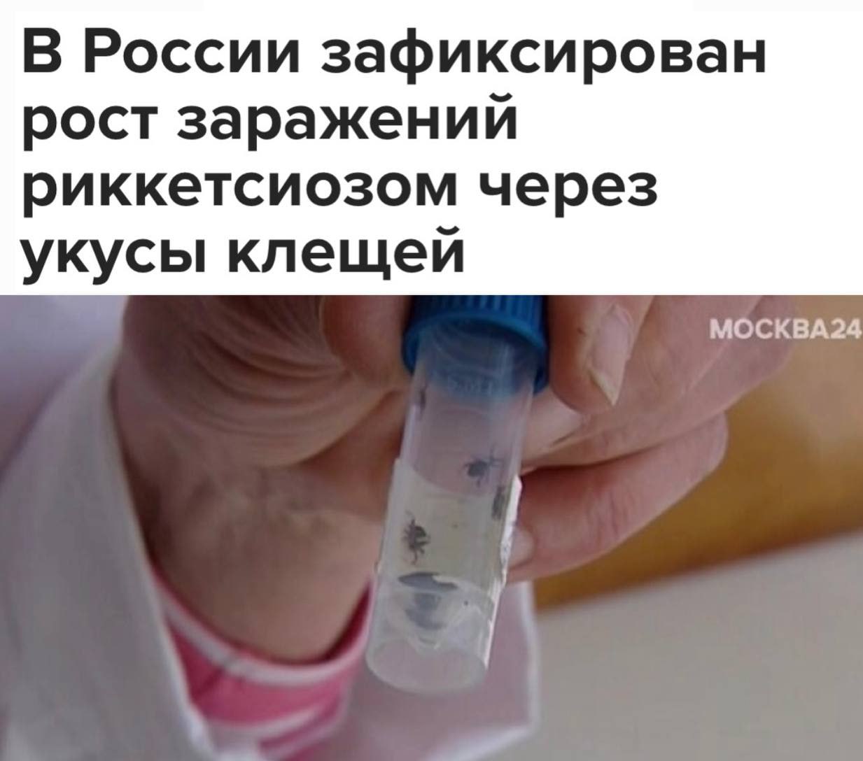 В России всплеск риккетсиоза — инфекции от укусов клещей. Симптомы: лихорадка, озноб, головная боль и сыпь с кровоточащими пятнами. Больше всего случаев — в центральных регионах. Врачи советуют закрытую одежду и репелленты Прямой эфир