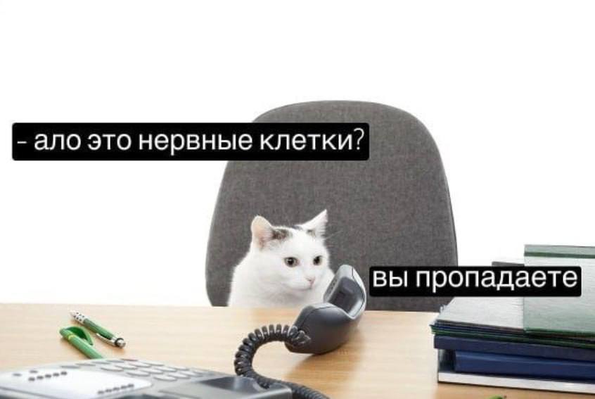 Ответьте по человечески Депутаты внесли в Госдуму законопроект об обязательном информировании абонентов о том что с ними разговаривает робот Что думают по этому поводу эксперты     kod ru voice robots introduce