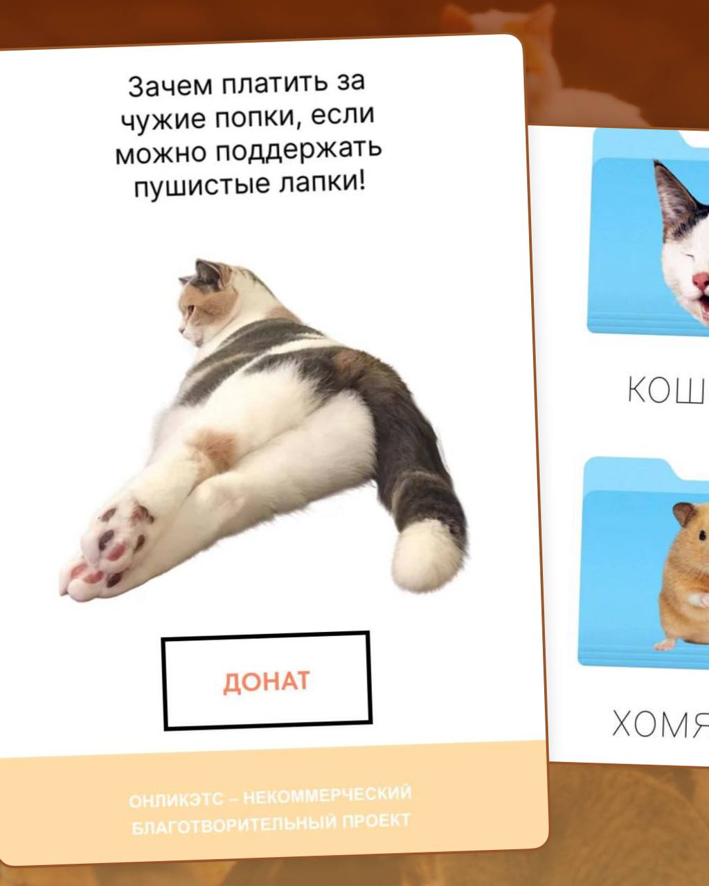 В интернете завирусился OnlyCats — «онлифанс» для животных. Пушистики выкладывают свои фотки, а подписчики платят за контент любимого питомца. Прибыль идёт на уход и вкусняшки для животных, в том числе из приютов. Сервис, на который хочется оформить подписку.