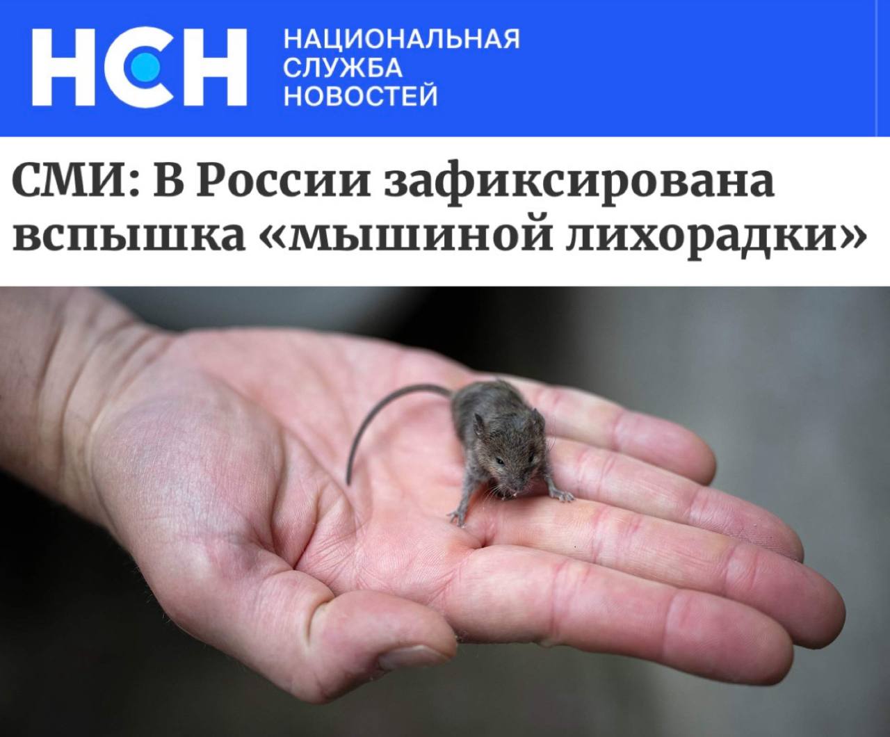 В России вспышка мышиной лихорадки Роспотребнадзор фиксирует резкий рост заболеваемости геморрагической лихорадкой с почечным синдромом За 10 месяцев 2025 года заразились более 3 3 тысячи человек это в 1 5 раза больше чем год назад Более 80 заболевших городские жители На Урале число случаев выросло втрое в ряде регионов в 2 3 раза Причина тёплая осень и зима грызуны активнее контактов больше Прямой эфир Наш MAX