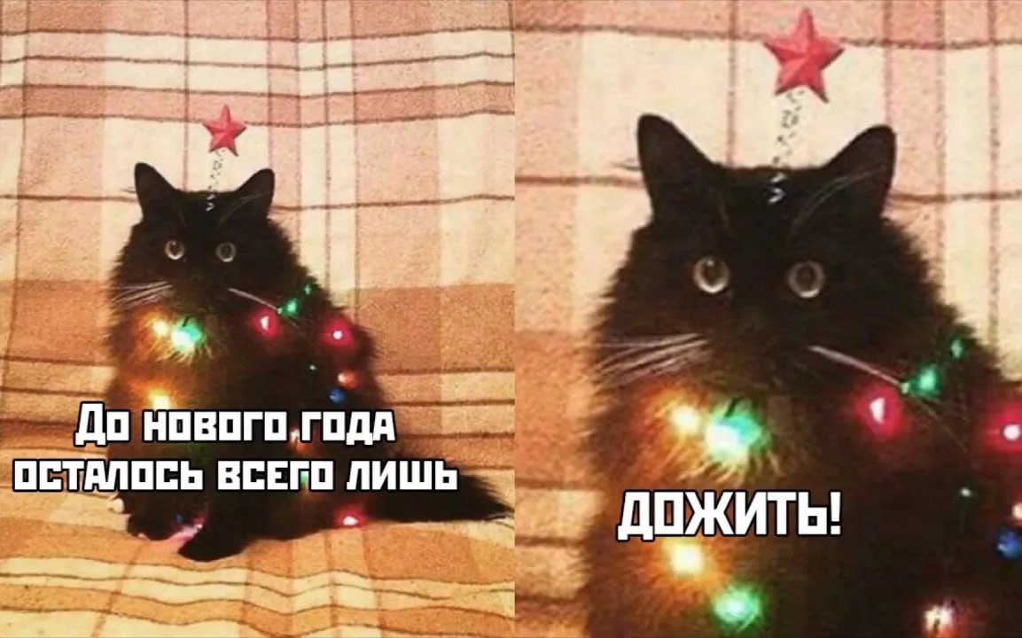 Ратмир Мавлиев сообщил о старте подготовки к новогодним праздникам Он поручил районным администрациям взаимодействовать с бизнесом чтобы украсить здания и прилегающие территории установить ёлки и другое оформление Предстоящий год пройдёт под символом Лошади Подпишитесь на ufa rb