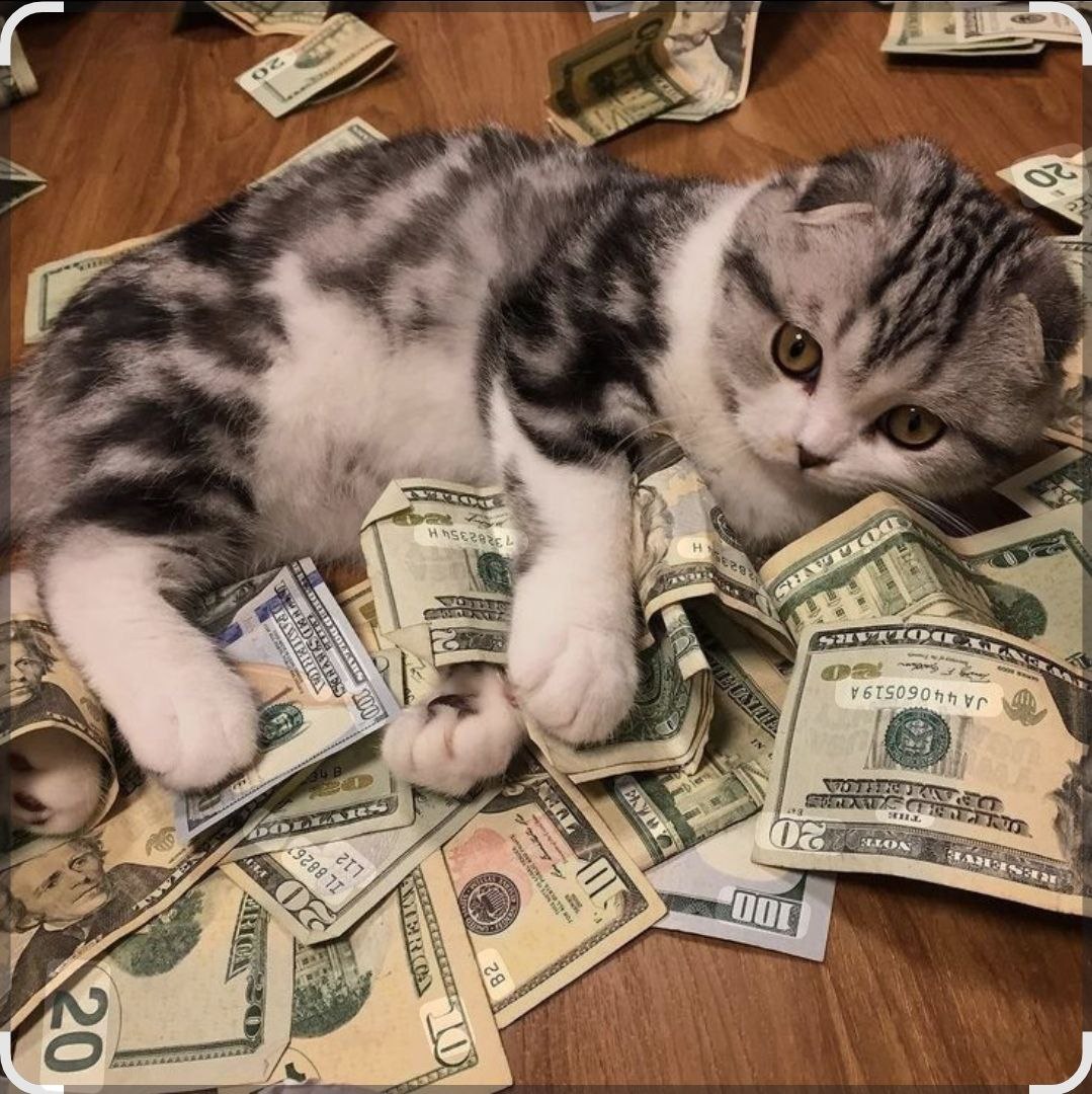 Минфин предложил отменить обязательные аудиторские проверки личных фондов Правкомиссия по законопроектной деятельности на заседании 26 января одобрила проект поправок Минфина Сейчас по закону любые фонды за исключением государственных внебюджетных международных и организаций по управлению целевым капиталом поступления которых за предыдущий год превысили 3 млн рублей обязаны проходить обязательный аудит  Обязательный аудит бухгалтерской отчетности это излишняя обязанность для личных фондов указано в пояснительной записке Характер их деятельности не требует открытости таких данных которые не представляют интереса для широкого круга субъектов гражданского оборота Личные фонды используются прежде всего для наследственного и семейного планирования а также долгосрочного структурирования частного капитала Анонимный Молотников Читайте нас в MAX