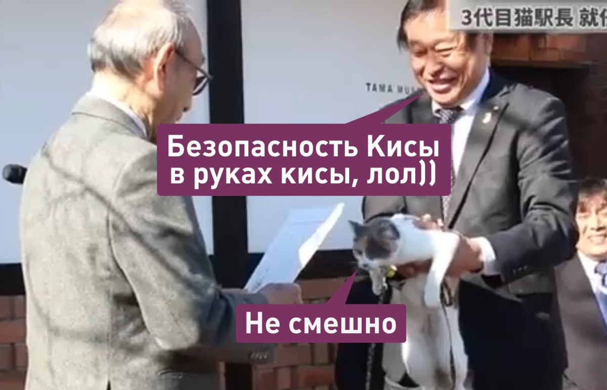 В Японии на станции Киси в городе Кинокава кошку по кличке Ёнотама назначили новым смотрителем вокзала Такая традиция появилась в 2007 году кошка привлекает туристов и помогает пополнять бюджет региона А что ещё случилось