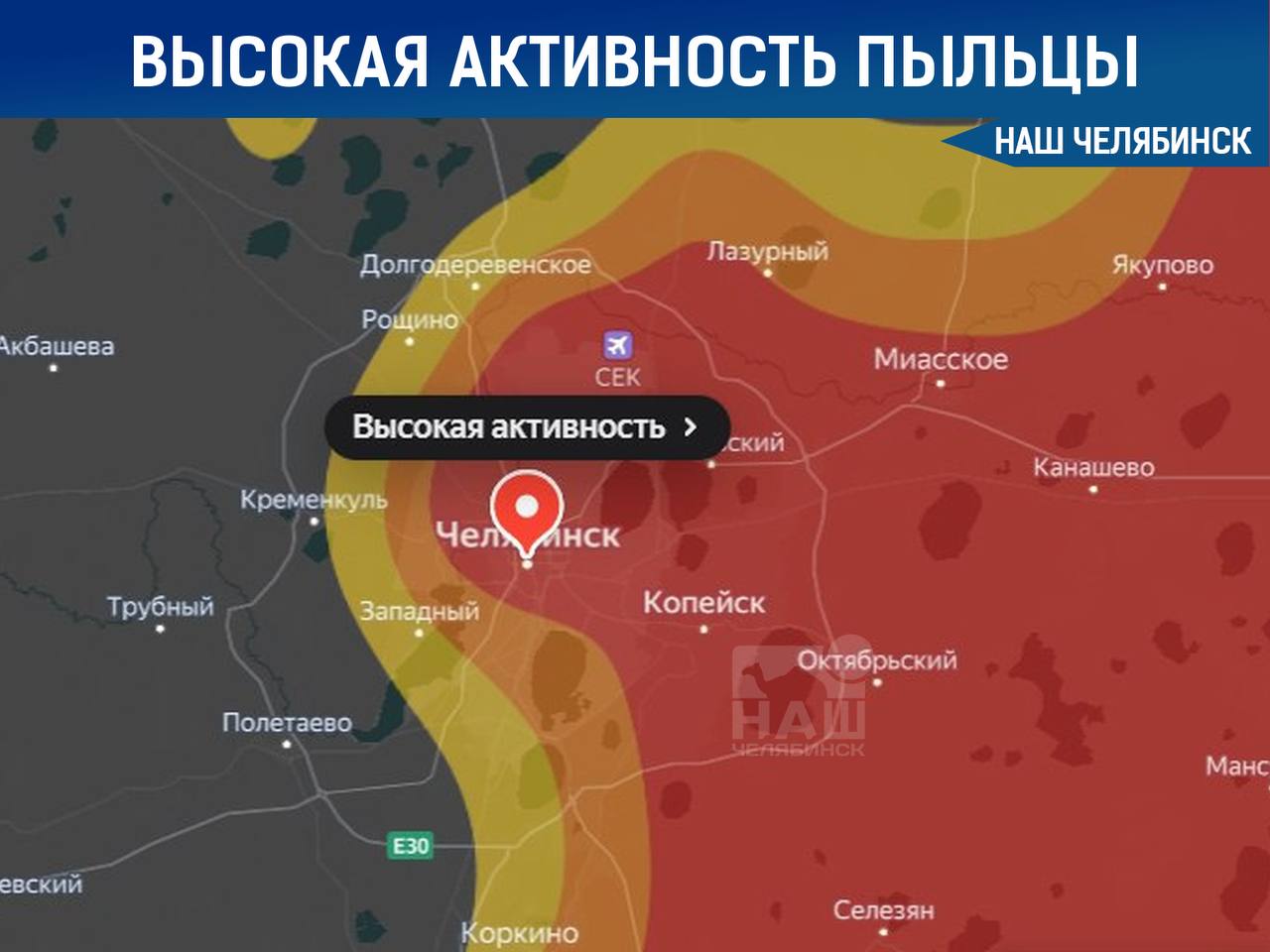 В ближайшие дни в Челябинской области ожидается высокая концентрация пыльцы в воздухе Активно цветут злаки, полынь и сорняки — основные аллергены этого периода. Аллергикам рекомендуется принять меры предосторожности, чтобы минимизировать симптомы. «Наш Челябинск» - новости без лапши! Подпишись!