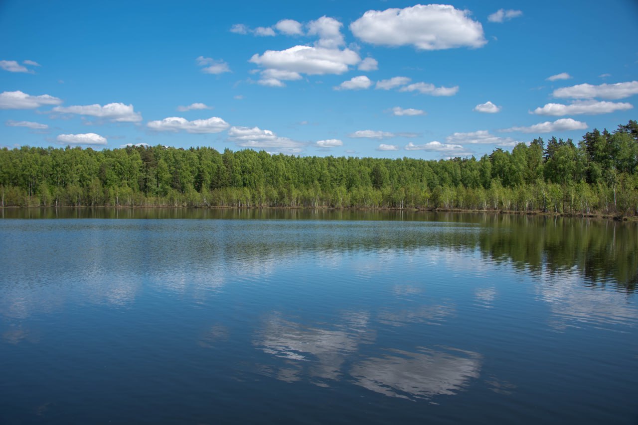 3 9 водоёмов выбрали жители Подмосковья для расчистки в 2026 году Голосование проходило на портале Решаем проблемы вместе и в приложении Добродел В нем приняли участие более 67 тыс человек Объекты расположены в 20 округах Работы проведут по губернаторской программе 100 прудов и озёр Среди победителей как крупные так и небольшие водоёмы Так в Наро Фоминском округе будут расчищены пруд на р Березовка и пруд Кузьминский на ручье Менка В Одинцовском округе каскад прудов в д Осоргино и пруд на р Большая Вяземка в г Голицыно а в Сергиево Посадском округе Тарбинская плотина и русловой пруд у с Абрамцево Полный список тут Программа 100 прудов и озёр реализуется с 2021 года За это время уже расчищено 185 водоёмов общей площадью 1092 га Подмосковье
