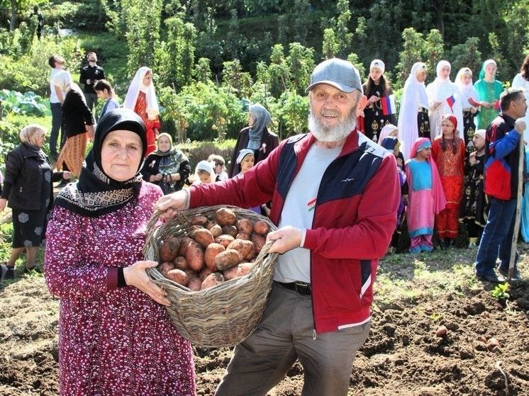 В Ахвахском районе Дагестана собрали урожай картофеля который лично подарил президент Беларуси Александр Лукашенко Об этом сообщает Минсельхозпрод республики В сентябре 2024 года на встрече с представителями национальностей живущих в Беларуси Лукашенко пообещал уроженцу Дагестана Хизри Асадулаеву подарить семенной картофель для посадки на Кавказе Весной 2025 года обещание было выполнено 100 кг семенного картофеля с президентского подворья доставили в Дагестан и высадили на участке агронома Магомеда Магомедова в селе Карата Урожай собрали в сентябре Посадка оказалась очень успешной с каждого килограмма семян получили от 7 до 10 кг урожая Собранный картофель использовали в том числе для приготовления драников на фестивале Бульба символ дружбы который прошел в местной школе