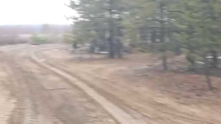 В Бурятии деревья украсили лифчиками: местная примета на удачу