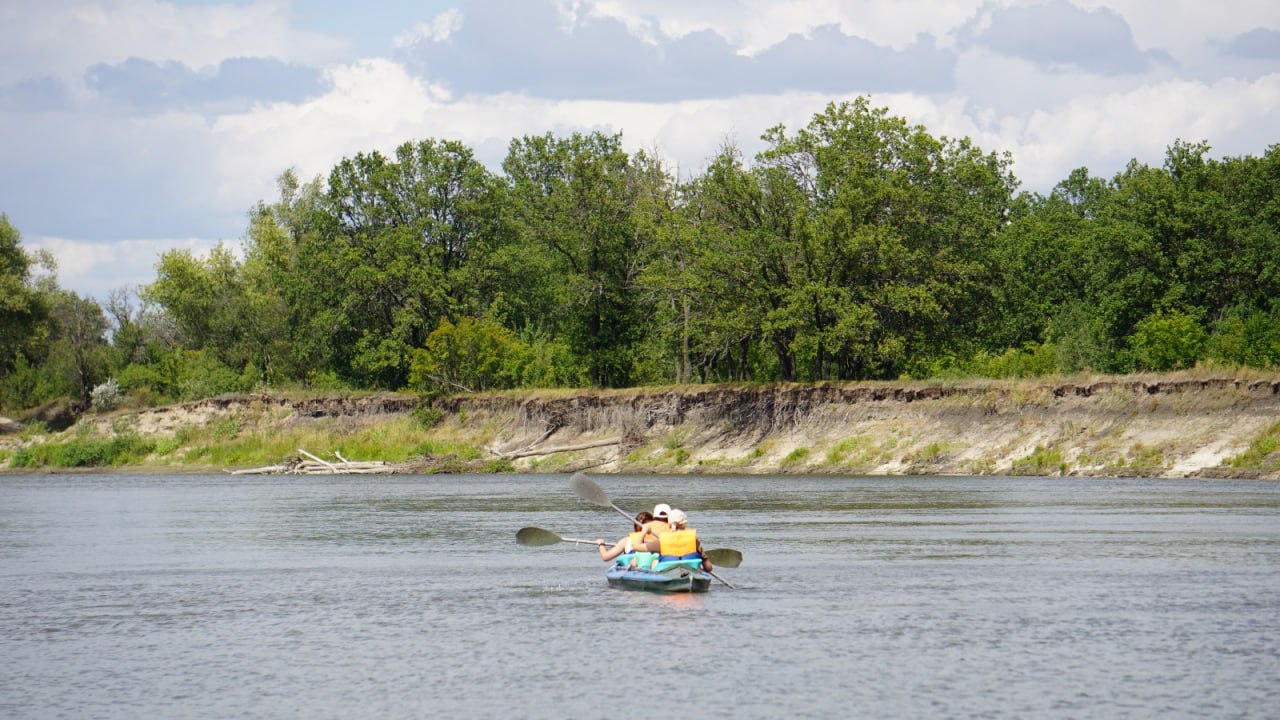 Природные парки Волгоградской области за год посетили более 200 тысяч туристов За 10 лет число любителей экологического туризма выросло в 15 раз В нашем регионе создано 60 особо охраняемых территорий в том числе 7 природных парков На 82 площадках обустроены места отдыха зеленые стоянки смотровые площадки и рыболовные базы Специалистами разработано 54 маршрута и экотропы для путешественников Подписаться Перейти на сайт MAX