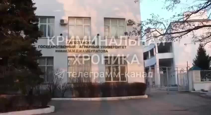 Задержание ректора и сотрудников Дагестанского аграрного университета за взятки
