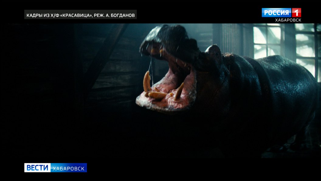 Военная драма Красавица выходит сегодня на большие экраны Картина снята при поддержке телеканала Россия Фильм основан на реальных событиях и рассказывает о подвиге служителей Ленинградского зоопарка которые во время блокады спасали животных от голода и обстрелов в зиму 1941 года Подробнее на сайте Вести Хабаровск