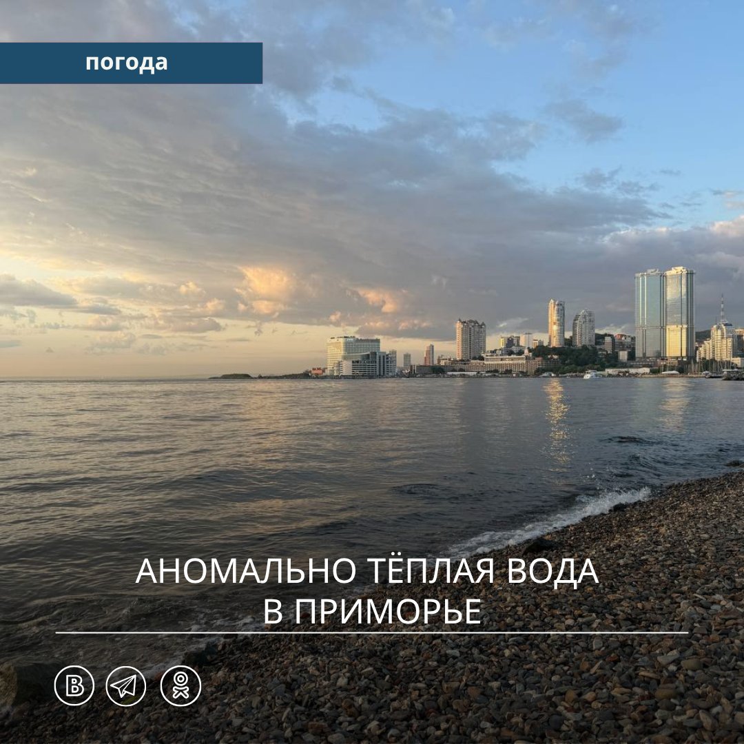 Зафиксированы необычно высокие температуры воды в акватории Приморья. Данные морского гидрометеорологического поста Токаревский показывают существенное отклонение от нормы. В июне 2025 года экстремальные значения температуры воды превысили показатели июня 2024 года на 5-7°С! Среднемесячная температура воды оказалась выше многолетней нормы на 4°С. Тенденция к аномальному потеплению сохраняется и в начале июля. В первой декаде месяца экстремальные значения температуры воды превышают многолетние данные на 5-6°С. По данным на 4 июля температура воды в Амурском заливе составляет +25°С, в заливе Посьета — +26°С, в бухте Находка — +17°С. Мы продолжаем наблюдение за температурным режимом морской воды и будем информировать о любых изменениях. Следите за нашими обновлениями!