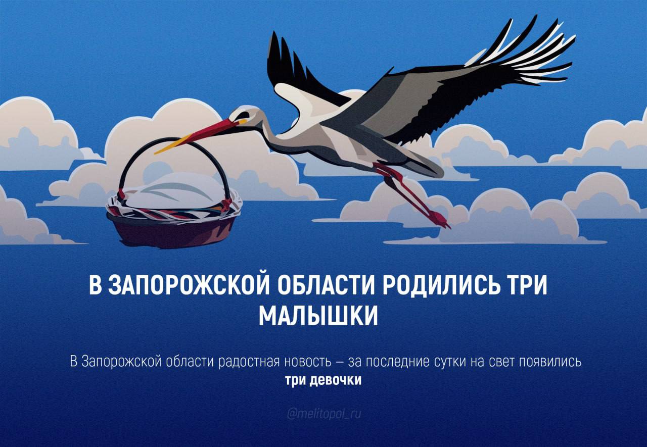 В Запорожской области родились три малышки  В Запорожской области за последние сутки на свет появились три девочки, сообщили в региональном минздраве.