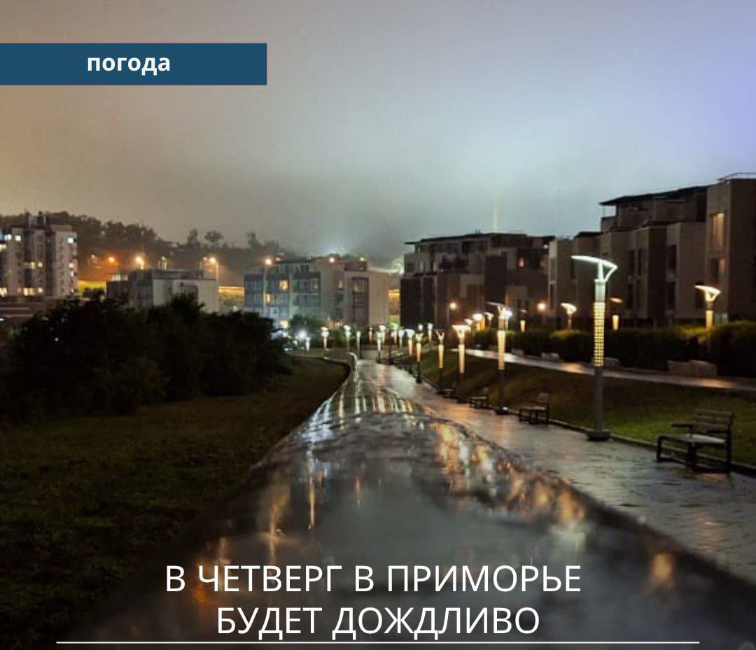 Штормовое предупреждение объявлено в Приморье на завтра. В Хасанском округе сильных ливней не будет!     Примгидромет сообщает, что в связи с активизацией циклонической деятельности у южного побережья Приморья ночью и днём 14 августа на юго-востоке края ожидаются сильные дожди  15–45 мм за 12 часов и менее , местами очень сильные  более 50 мм за 12 часов и менее , а также грозы.     Территории предупреждения: Находка, Партизанский ГО, Лазовский муниципальный округ  в т. ч. Преображение .     В ночь на четверг во Владивостоке и юго-западе края ожидается дождь, юго-восточный ветер стихнет и сменится северным, минимальная температура сохранится на прежнем уровне. Днём прояснит, воздух прогреется до +26…+30°C.