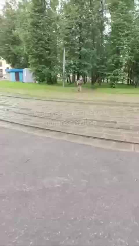 Лоси на Первомайской: спасение одного из животных и побег второго