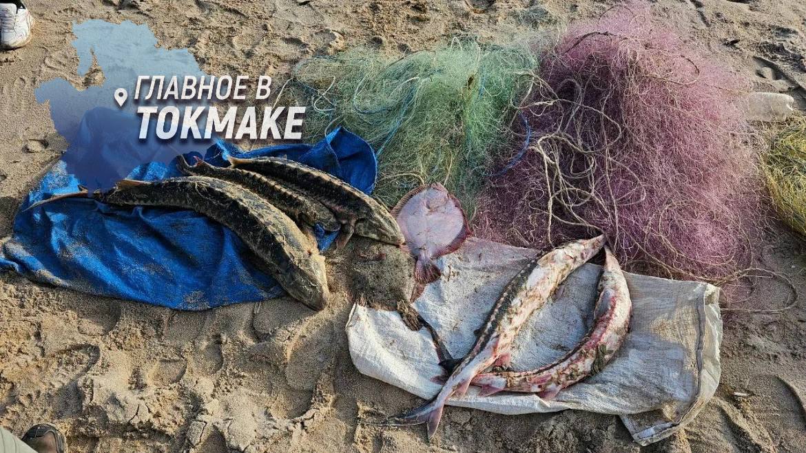В Запорожской области большинство преступлений на транспорте связано с браконьерством Большинство преступлений, зафиксированных в зоне оперативного обслуживания Херсонского и Запорожского линейных отделов, связано с незаконным оборотом биологических ресурсов. Об этом сообщил начальник Главного управления на транспорте МВД России генерал-лейтенант полиции Олег Калинкин. Согласно данным ведомства, с начала 2025 года сотрудники транспортной полиции выявили 83 преступления в исторических регионах. Полиция совместно с рыбоохраной проводит рейды по задержанию лиц, использующих запрещенные орудия лова, и нарушители привлекаются к уголовной ответственности.