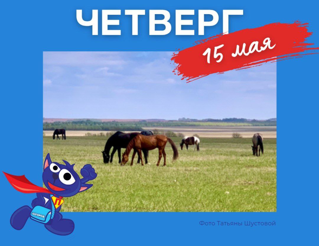 Начнем этот день с обзора новостей В лесах Слободского района обнаружили свалку хлеба, произведенного в Кирове Экипаж самолета "Киров - Москва" пытались ослепить лучом света В Кировской области ожидается ливневой дождь Кировские следователи раскрыли убийство 26-летней давности Участвуйте в нашем розыгрыше мангала для шашлыка #ДайджестПГ