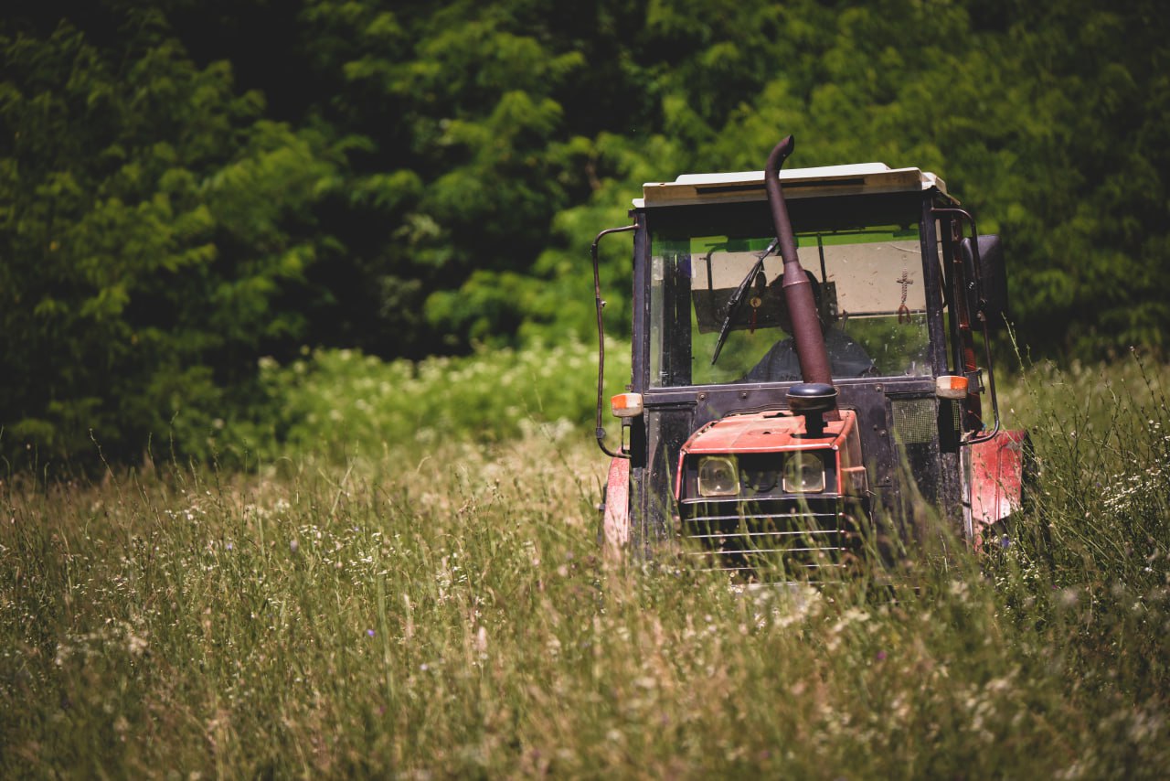 Достижения Юга в АПК и предварительные итоги 2025 года как прошел второй день ЮГАГРО 2025 Сегодня на международной выставке ЮГАГРО 2025 в Краснодаре подвели предварительные итоги года и рассказали об инициативах в агропромышленном комплексе   Читайте в материалах РБК Юг и Северный Кавказ Регионы Юга остаются лидерами по применению минудобрений в 2025 году Аграрии Кубани приобрели более 7 тысяч единиц техники на 99 млрд рублей за 5 лет Оксана Лут в РФ запустят пробные торги зерном на бирже с 20 декабря Фермеры собрали более трети урожая на Кубани в 2025 году Оксана Лут российские растениеводы должны работать над снижением себестоимости Минсельхоз РФ направит на поддержку фермеров 15 млрд рублей в 2026 году АПК