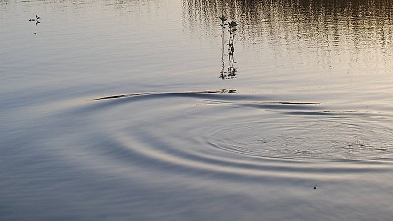 Пара находится в РДКБ 17 летнего парня и 18 летнюю девушку случайно заметили недалеко от бассейна Юность в Уфе Очевидцы вызвали спасателей и скорую Состояние парня оценивается как средней степени тяжести а девушка из реанимации переведена в травматологическое отделение Оказывается молодые люди пытались скрыться после кражи в супермаркете БСТ в Telegram БСТ в МАХ