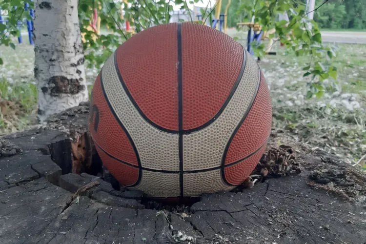 В баскетбол и волейбол на спецплощадке смогут играть жители Владимировки Многофункциональную спортплощадку обустраивают в центре Владимировки. Такой проект в селе Благовещенского округа воплощают в жизнь в рамках госпрограммы "Комплексное развитие сельских территорий" КРСТ . Сейчас на месте активно ведутся земляные работы. Спортплощадка будет включать в себя две зоны: для игры в баскетбол и для игры в волейбол. Кроме того, на территории сделают уличное освещение и установят ограждение. Спортивная зона полностью будет готова в августе. На ее создание выделили почти два миллиона рублей. "Такой объект на территории села появится впервые. До этого во Владимировке была хоккейная коробка, которую построили в 2018 году в рамках инициативного бюджетирования", - отметили в правительстве Амурской области. ТЕЛЕПОРТ.РФ – здесь все об Амурской области Написать нам