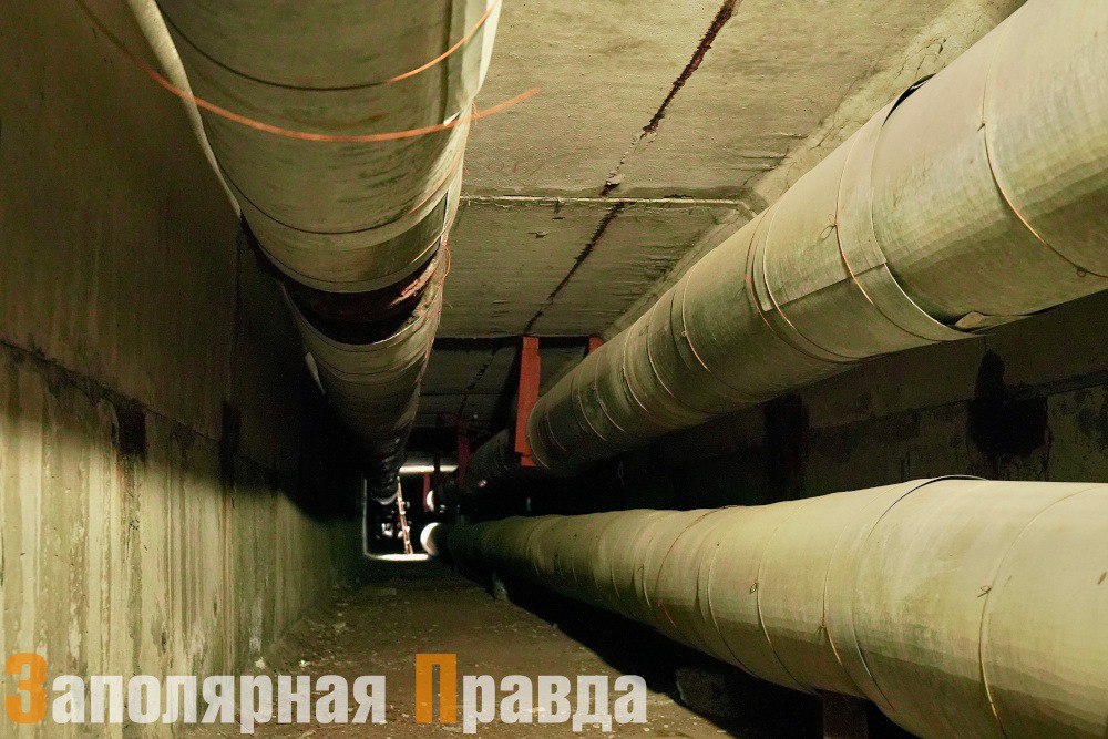 Жители Норильска обратились на горячую линию губернатора края по вопросам отопления В администрации отрабатывают все сигналы граждан со всех каналов связи Недовольство норильчан качеством и температурой теплоносителей в квартирах отслеживают как через раздел Вопрос главе города на сайте администрации так и через социальные сети Об этом журналистам рассказал заместитель главы города по городскому хозяйству Андрей Добровольский Два раза в день мы встречаемся в руководителями и главными инженерами управляющих компаний Все проблемные адреса обследуются непосредственно с моим участием Мы связываемся с собственниками квартир и отслеживаем от них обратную связь пояснил замглавы Подробности читайте на нашем сайте зпнорильск заполярнаяправда газетанорильск норильск талнах кайеркан оганер новостинорильска ВКонтакте Telegram