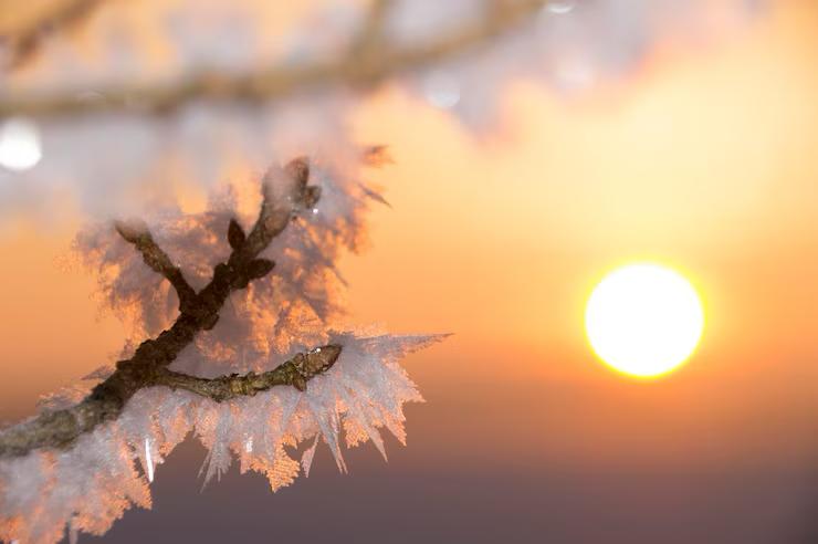Световой день начнет увеличиваться с 26 декабря При этом к началу 2026 года день станет длиннее на 5 6 минут обещают специалисты Пока же продолжительность светового дня практически не увеличилась с момента зимнего солнцестояния 21 декабря Прибавляться день будет не сразу не зря называют солнцестоянием вплоть до 26 декабря его продолжительность будет практически одинаковой а вот начиная с 26 го декабря день пойдет на прирост и к новому году увеличится уже на 5 6 минут рассказали в Московском планетарии Главное здесь Подписывайтесь