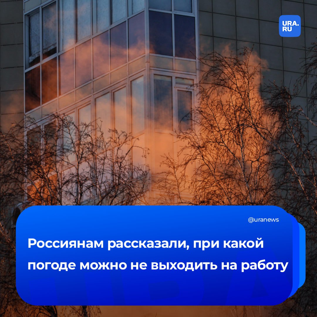 При непогоде можно не выходить на работу В Федерации независимых профсоюзов напомнили о праве россиян оставаться дома во время снежных бурь пожаров и землетрясений Главное заранее предупредить руководство Работнику нужно подтвердить почему он не может добраться до офиса Доказательством послужат данные метеослужб сообщения МЧС ГИБДД а также публикации в СМИ Эти материалы работник вправе использовать и при спорах Суды вплоть до Верховного встают на сторону сотрудника не позволяя работодателю уволить человека по статье за прогул заявил РИА Новости главный технический инспектор труда Федерации Безюков Сегодня в России ожидается сильное похолодание в Иркутской области до 55 C в Хабаровском крае до 32 C а в Приморье до 37 C В Москве и области ожидаются морозы до 23 C Подписаться на URA RU мы в MAX